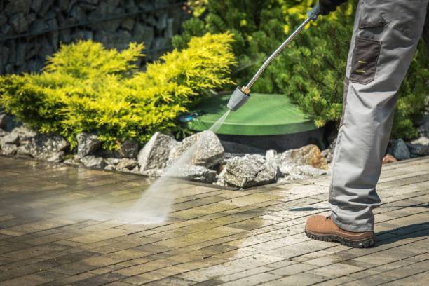 Best Pre-Holiday Cleaning  in Demarest, NJ