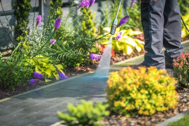 Best Dumpster Area Cleaning  in Demarest, NJ